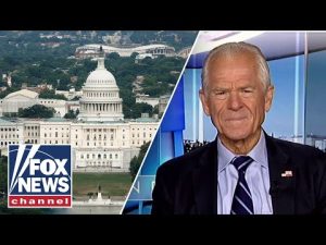Read more about the article Peter Navarro fires back after court’s tariff ruling: ‘Weaponized partisan injustice’