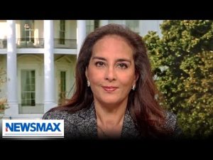Read more about the article Harmeet Dhillon: ‘Disrespect’ for the rule of law ‘playing out in front of our eyes in real time’