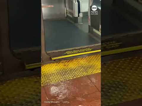 You are currently viewing Flooding in New York City’s metro on Hudson line