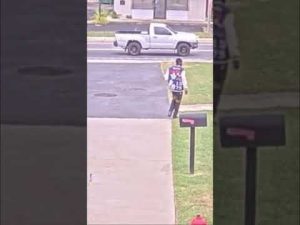 Read more about the article Man arrested after police say he planted makeshift Molotov cocktails near fire station #shorts #news