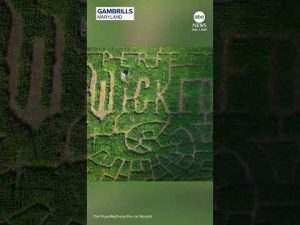 Read more about the article Maryland corn maze pays tribute to ‘Wicked’