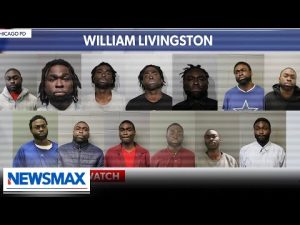 Read more about the article Woman’s face broken in Chicago by repeat offender with 13 mug shots | Wake Up America