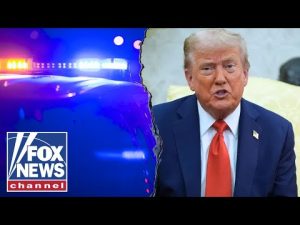 Read more about the article Missing children RECOVERED in Trump’s ‘unprecedented’ crime crackdown