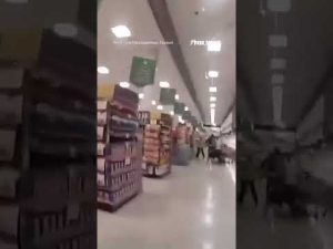 Read more about the article A 76-year-old man bravely tackled a teen thief running from police #shorts #viral #usa #us