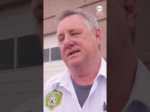 You are currently viewing 3-year-old boy dies after being left in hot car, police say
