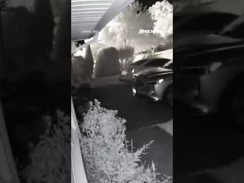 You are currently viewing A massive house explosion sparked a fire, destroying the home #shorts #viral #usa #us
