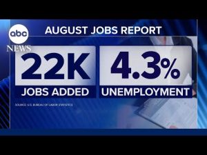 Read more about the article Hiring slows in 1st jobs report since Trump fired commissioner