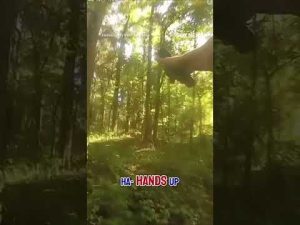 Read more about the article Wild police chase ends with K9 takedown #shorts