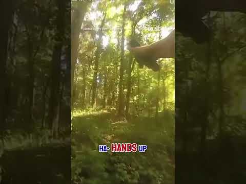 You are currently viewing Wild police chase ends with K9 takedown #shorts