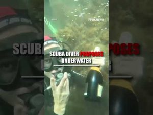 Read more about the article WATCH: A diver popped the question underwater in a breathtaking scuba proposal #shorts #viral #usa