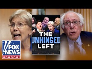 Read more about the article ‘COMPLETE PSYCHO MELTDOWN MODE’: Dems have ‘exposed’ themselves