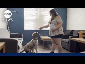 Read more about the article Colleges going pet-friendly