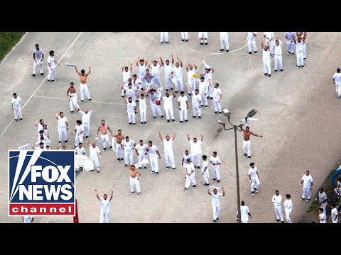 You are currently viewing ‘Alligator Alcatraz’ scores BIG WIN in migrant deportations