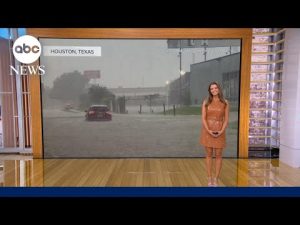 Read more about the article A look at the Labor Day forecast