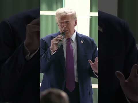 You are currently viewing ‘THESE PEOPLE ARE SICK’: Trump decries Chicago officials #shorts #trump #foxnews #usa #chicago