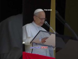 Read more about the article Pope Leo prays for Minnesota shooting victims #shorts