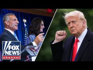 Read more about the article This could make Dems vote for MAGA candidate, argues GOP strategist
