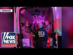 Read more about the article More than 200 suspected Sinaloa cartel members arrested in Trump crackdown