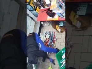 Read more about the article WATCH: Suspects ransack Houston convenience store at gunpoint #foxnews #news #shorts
