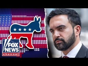 Read more about the article Why Democrats are hesitant to endorse Mamdani