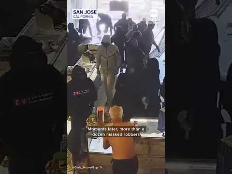 You are currently viewing Robbers swarm store during smash-and-grab jewelry heist in California