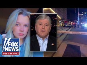 Read more about the article Here’s your modern-day, insane Dem Party: Sean Hannity
