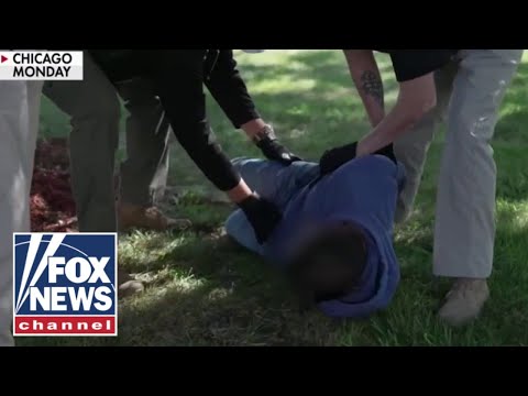 You are currently viewing NEW: DHS launches MAJOR operation in blue state targeting criminal migrants