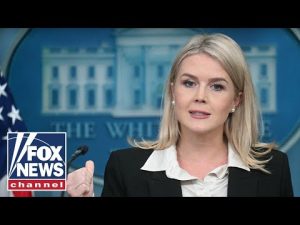 Read more about the article WATCH: Leavitt holds White House press briefing