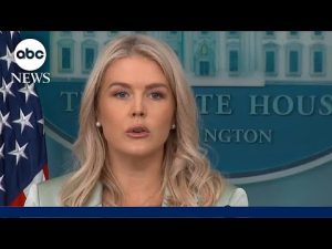 Read more about the article White House addresses the fatal stabbing of a Ukrainian woman Iryna Zarutska on North Carolina train