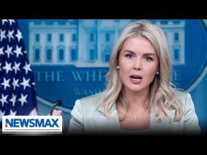 Read more about the article Media ignored train stabbing because it didn’t ‘fit a preferred narrative’: Karoline Leavitt
