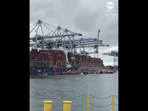 Read more about the article Containers topple off cargo ship, plunge into California waters
