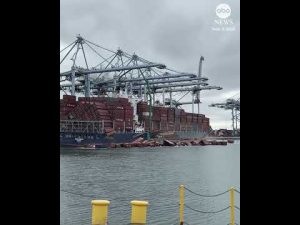 Read more about the article Containers topple off cargo ship, plunge into California waters