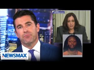 Read more about the article ‘A reminder of how much they hate you’: Rob Schmitt on ‘pathetic’ pro-criminal Democrats