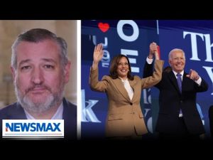Read more about the article Ted Cruz: ‘Joe Biden, Democrats made Americans less safe’