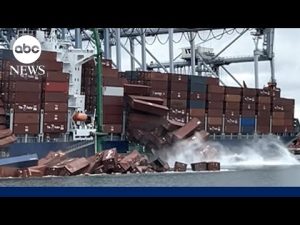 Read more about the article Operations suspended at California port after cargo containers tumble off ship