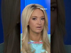 Read more about the article McEnany EXPOSES story behind stabbing suspect’s 14th mug shot