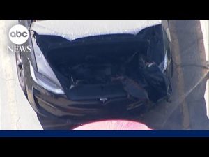 Read more about the article Human remains found in abandoned Tesla registered to entertainer d4Vd