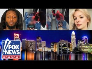 Read more about the article ‘MADNESS’: Dems’ ‘woke’ policies, cashless bail support shamed after disturbing train murder