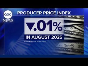 Read more about the article US producer prices fall 0.1% in first decline since April