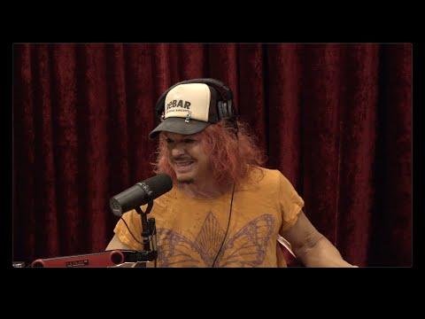 Read more about the article Joe Rogan Experience #2377 – Carrot Top