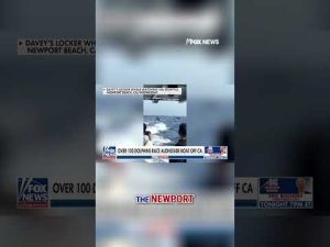 Read more about the article FLYING HIGH: Dolphins leap more than 10 feet alongside boat #shorts #dolphin #california #beach #us
