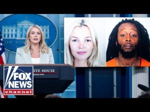 Read more about the article ‘He can’t be on the street!’: Chilling audio of alleged Charlotte killer released