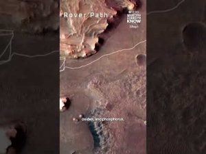Read more about the article Nasa rover finds possible signs of microscopic life on Mars