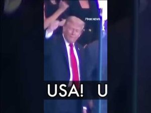 Read more about the article Crowd chants USA as Trump attends 9/11 Yankees game