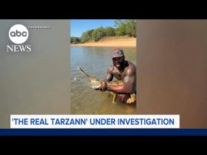 Read more about the article Social media influencer being investigated for crocodile videos
