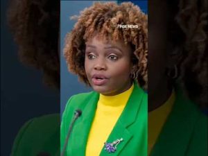 Read more about the article Karine Jean-Pierre told lawmakers talking points on Biden’s health came from ‘senior level’: sources