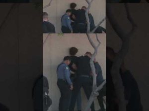 Read more about the article Man caught vandalizing Charlie Kirk memorial outside TPUSA headquarters #shorts #foxnews #us