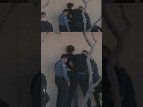 You are currently viewing Man caught vandalizing Charlie Kirk memorial outside TPUSA headquarters #shorts #foxnews #us