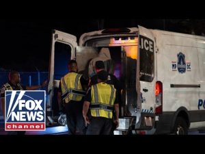 Read more about the article ICE agent badly injured after deadly traffic stop: Report