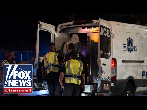 You are currently viewing ICE agent badly injured after deadly traffic stop: Report